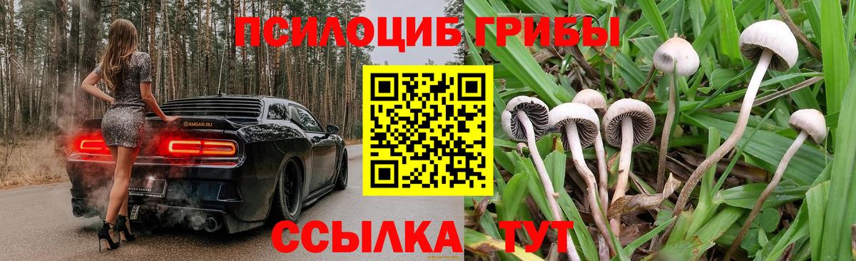 Галлюциногенные грибы ЛСД  Вход с VPN  Гатчина 